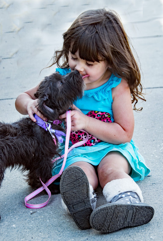 Preparing Your Dog for Your New Baby
